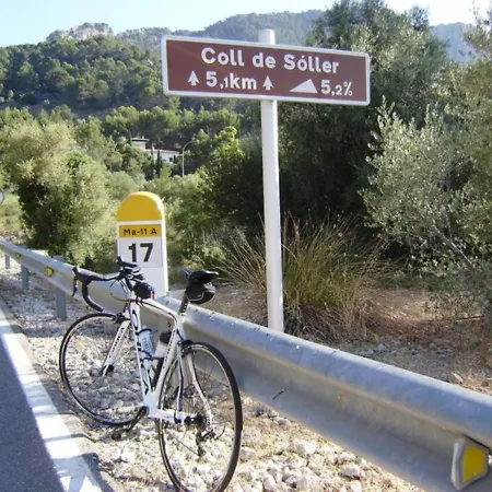 Got * Soller